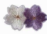 White and a purple flower - Let's Patch It Up!