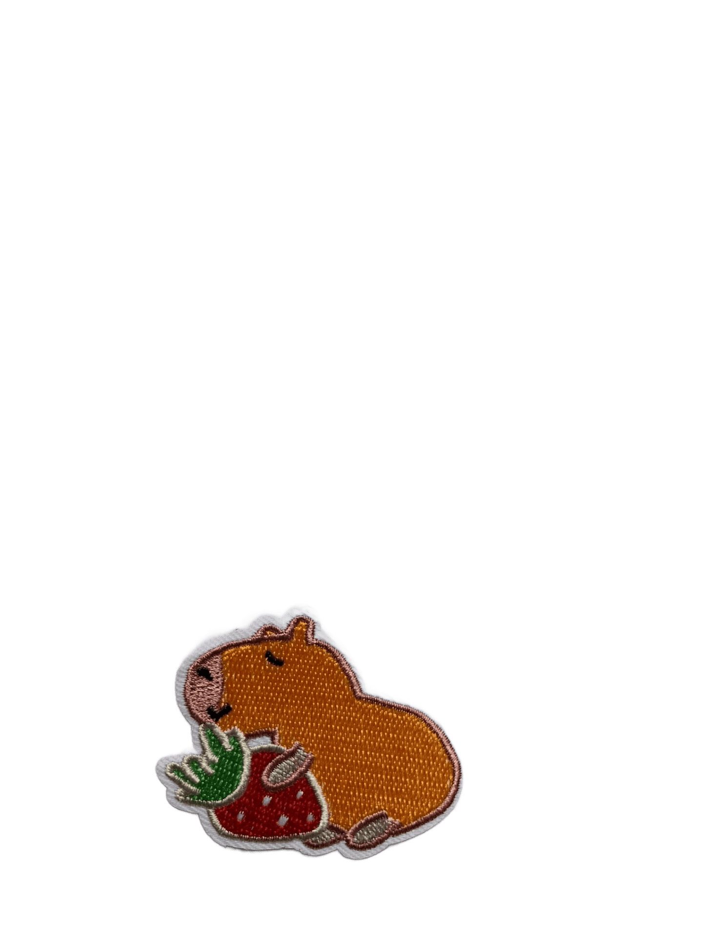 Guinea Pig - Let's Patch It Up!