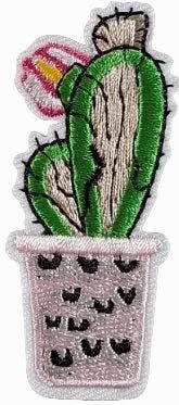 Cactus with flower medium - Let's Patch It Up!