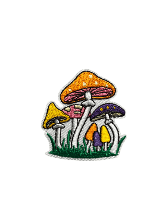Toadstool multi - Let's Patch It Up!