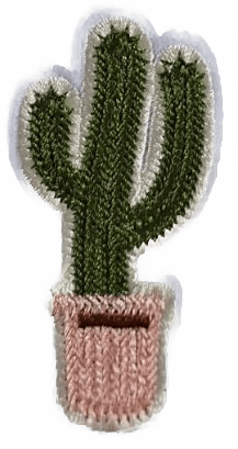 Cactus in pink pot - Let's Patch It Up!